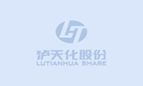 2024年四川瀘天化股份有限公司環(huán)境、社會與治理（ESG）報告