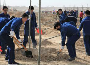 和寧公司組隊(duì)參加寧夏寧東基地千人義務(wù)植樹活動(dòng)