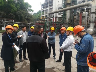 四川省應(yīng)急管理廳督查公司危險(xiǎn)化學(xué)品專項(xiàng)整治工作