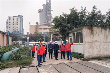集團公司黨委書記、董事長潘建華一行來我公司調研
