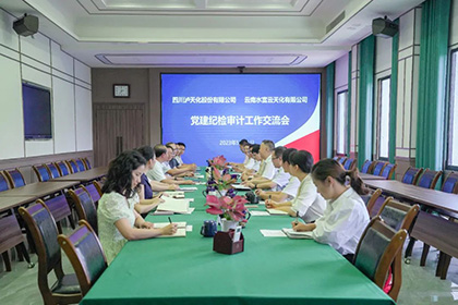 云南水富云天化有限公司到我公司開展黨建紀(jì)檢審計(jì)工作經(jīng)驗(yàn)交流