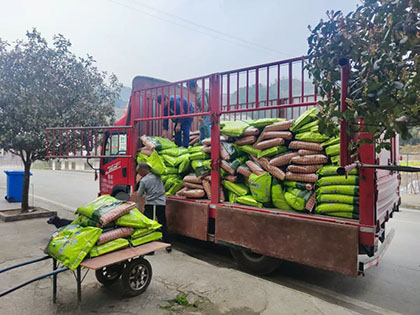 瀘天化股份公司“暖心肥”澆灌致富新希望